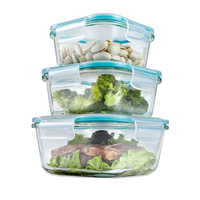 glass food container  3pcs set